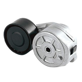 Tensionador da Correia do Alternador (Polia de Ferro)/ SC P/G/R